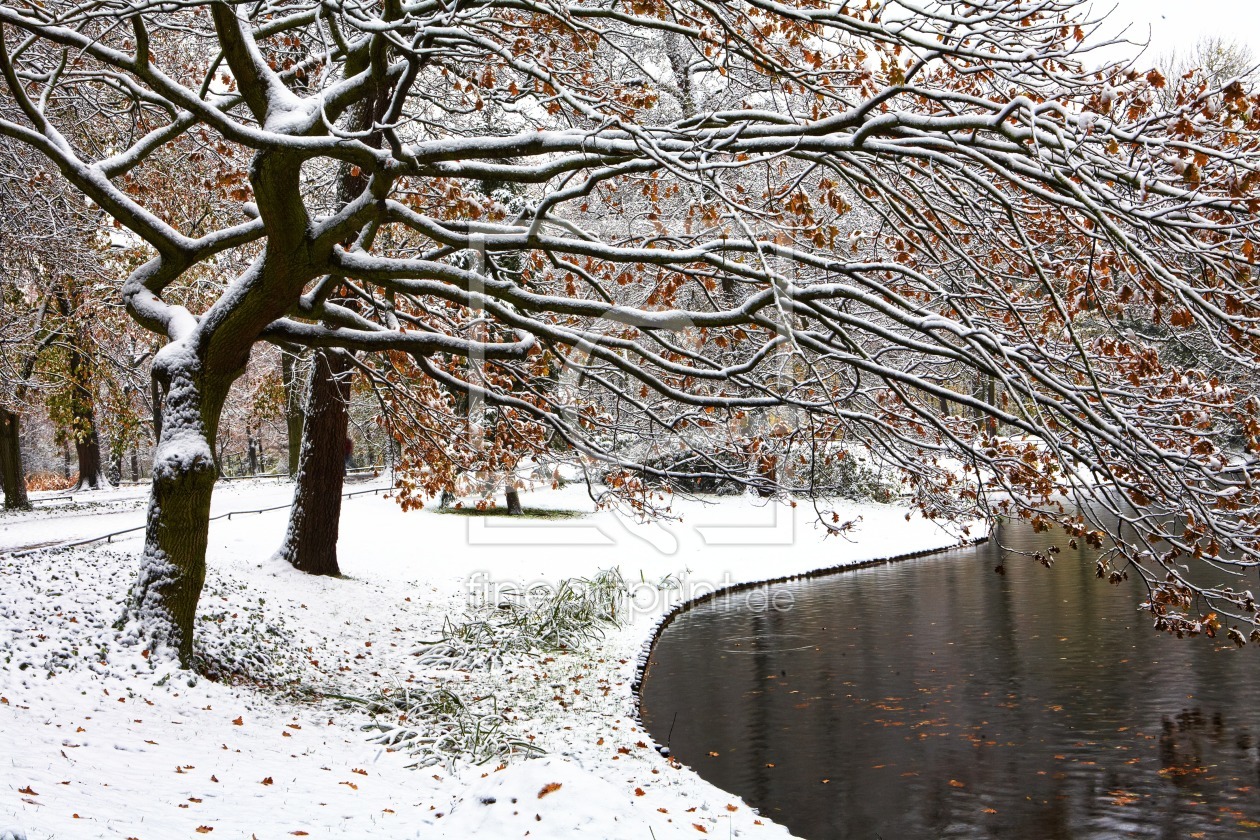 Bild-Nr.: 11561724 Baum im Park erstellt von KundenNr-295250