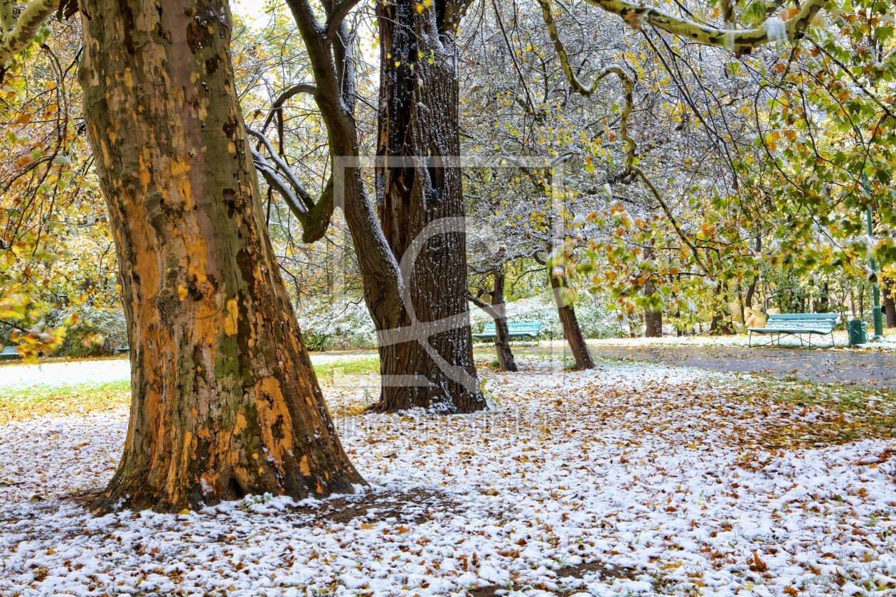 Bild-Nr.: 11562970 Park im Winter erstellt von KundenNr-295250