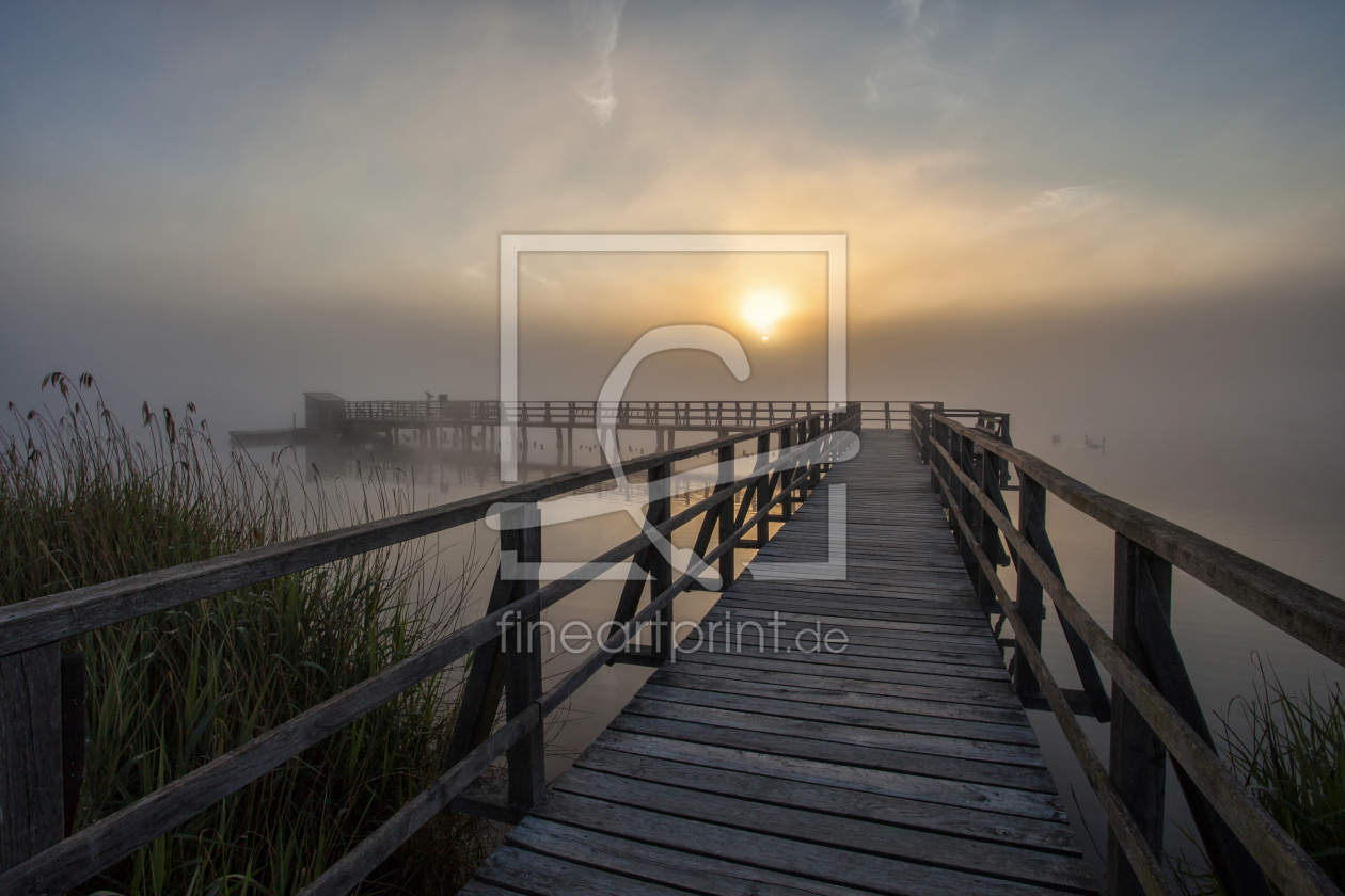 Bild-Nr.: 11563758 Federsee_02 erstellt von Alexander Jennewein