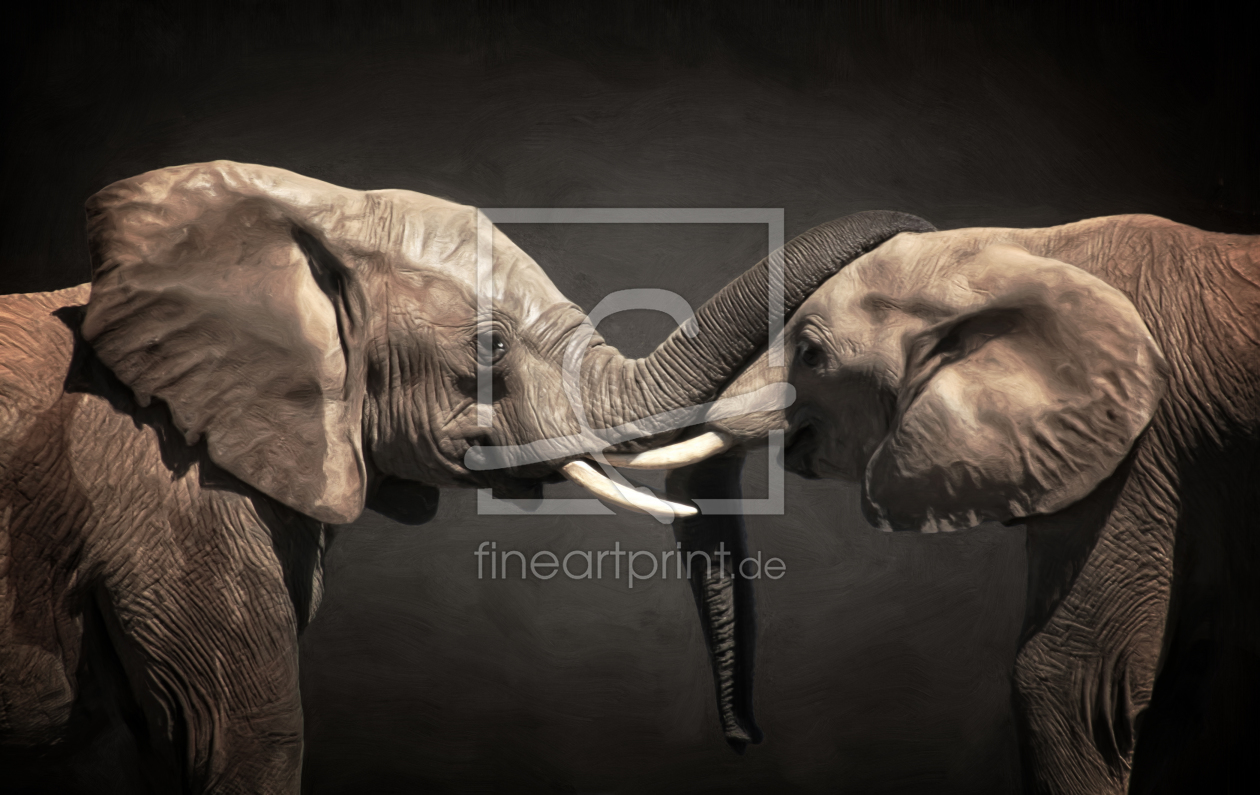 Bild-Nr.: 11563876 Two Elephants erstellt von Angela  Dölling