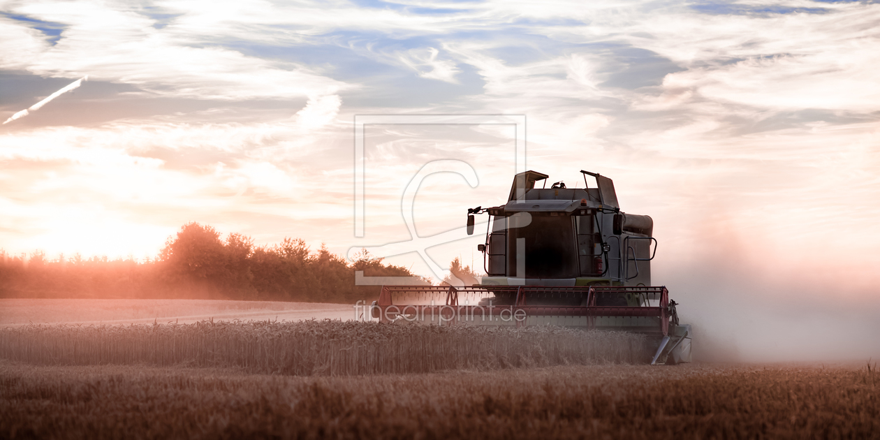 Bild-Nr.: 11565564 Erntezeit erstellt von Richard-Young