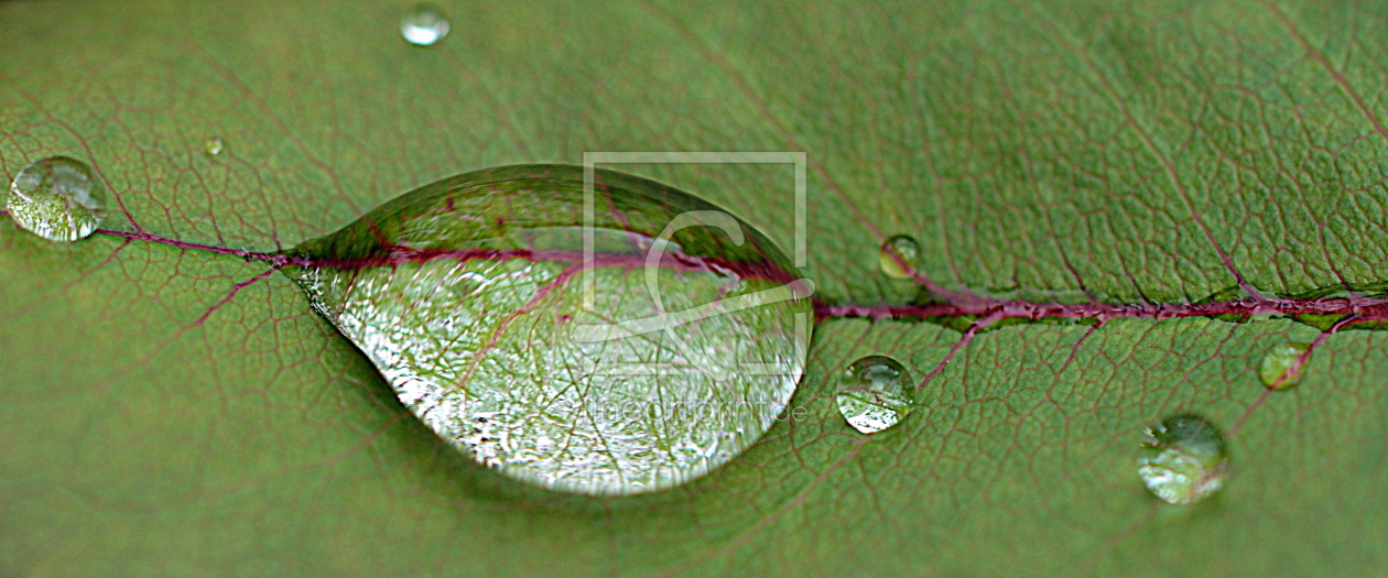 Bild-Nr.: 11565788 .. rainy .. erstellt von GUGIGEI