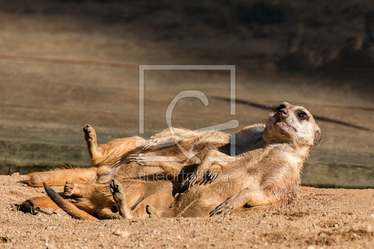 Bild-Nr.: 11567410 Morgens halb zehn ... erstellt von DD-Photos