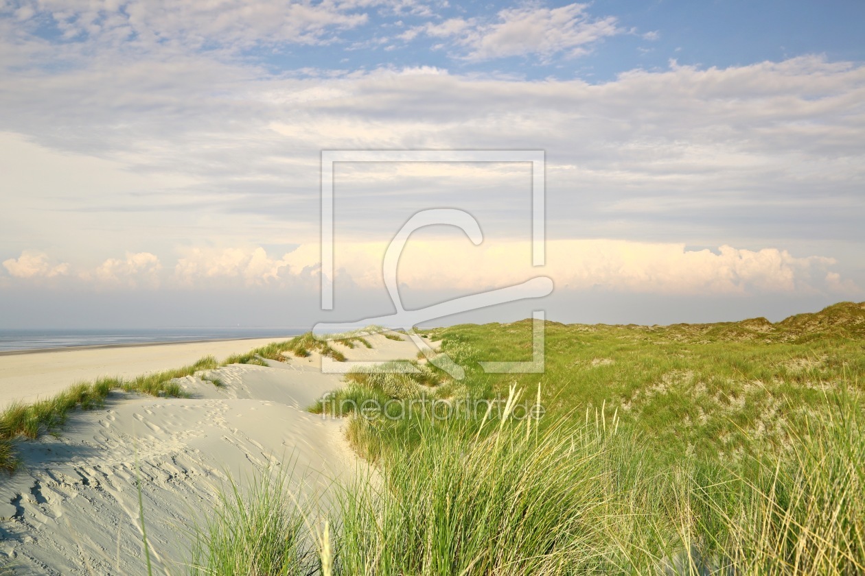 Bild-Nr.: 11567484 StrandDüne erstellt von Ursula Reins