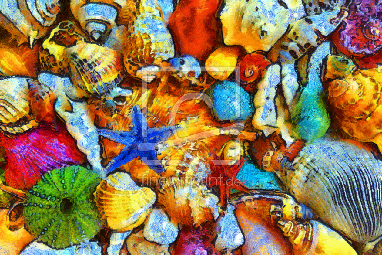 Bild-Nr.: 11568512 Muscheln, abstrakt erstellt von Darlya