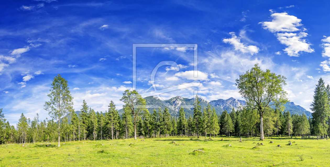 Bild-Nr.: 11568846 Panorama Bäume mit Wendelsteingebirge erstellt von Wolfgang Zwanzger