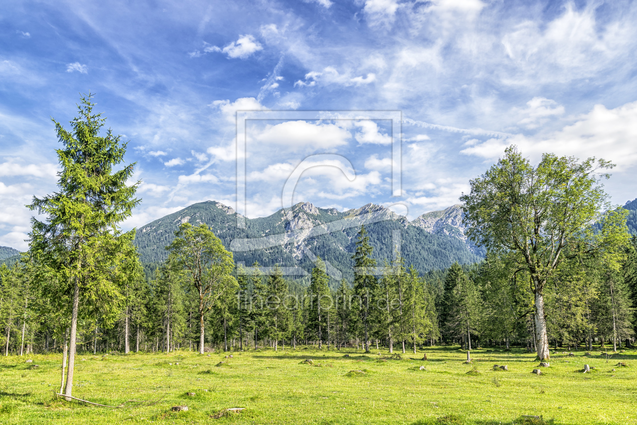 Bild-Nr.: 11568848 Bäume an Isarufer mit Wendelsteingebirge erstellt von Wolfgang Zwanzger