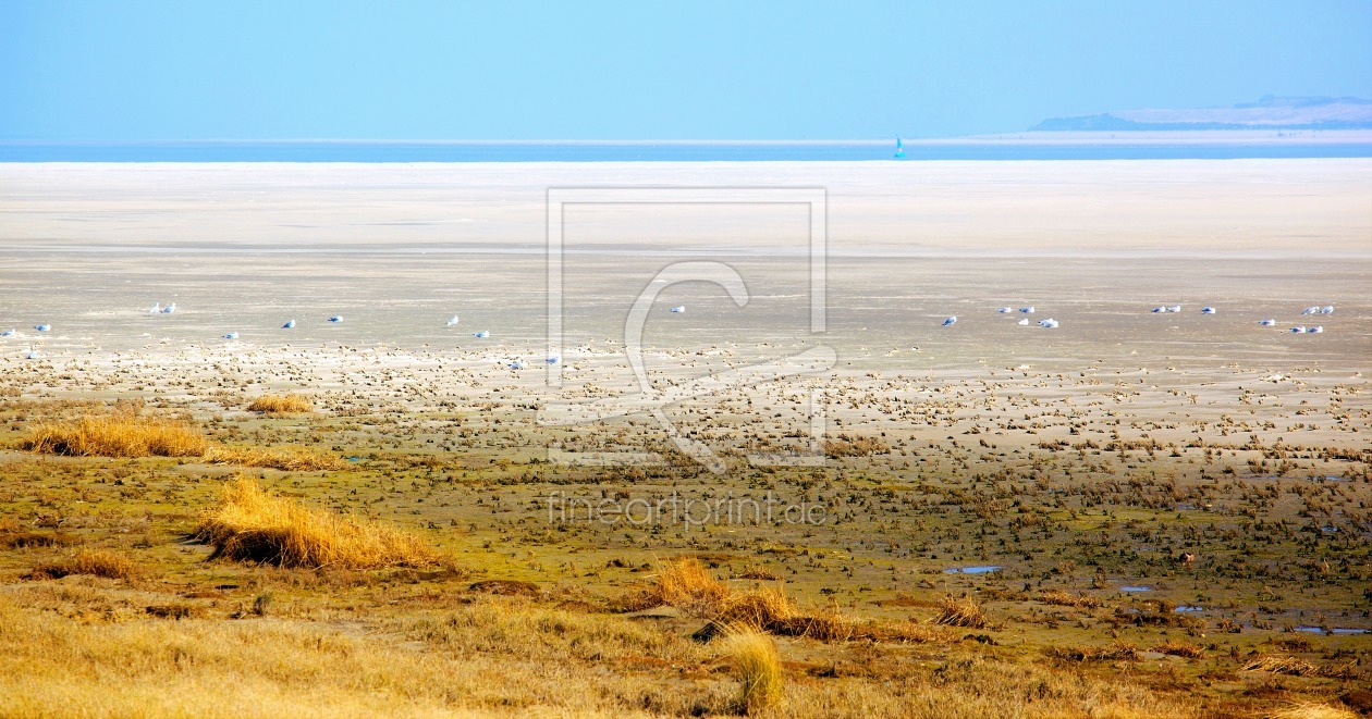 Bild-Nr.: 11570698 Langeoog - Wattenmeer erstellt von wompus