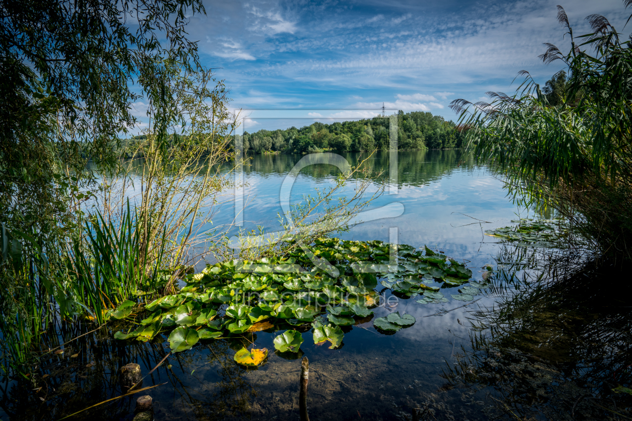 Bild-Nr.: 11571780 Höhenfelder See erstellt von KundenNr-291254