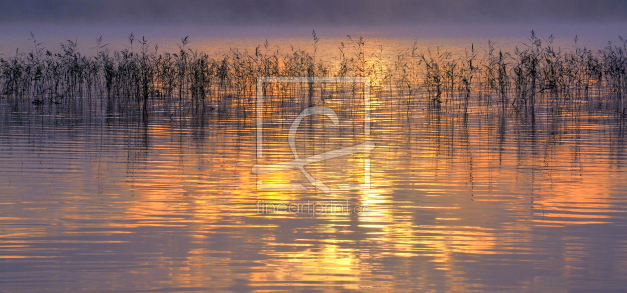 Bild-Nr.: 11572198 mystic morning erstellt von GUGIGEI