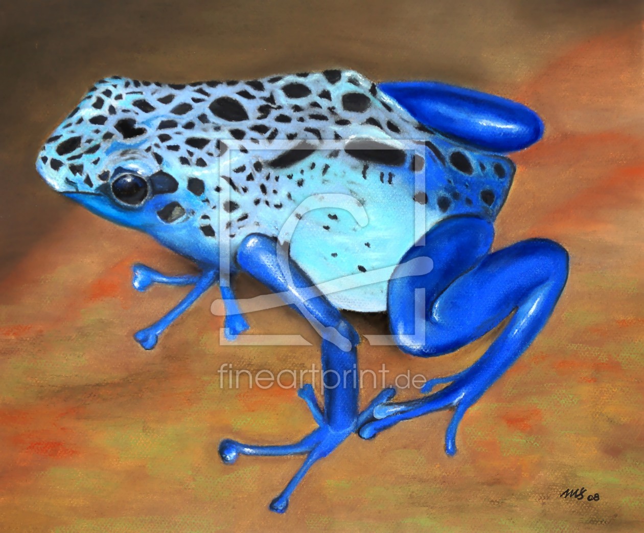 Bild-Nr.: 11572834  Pfeilgiftfrosch erstellt von MoNoir