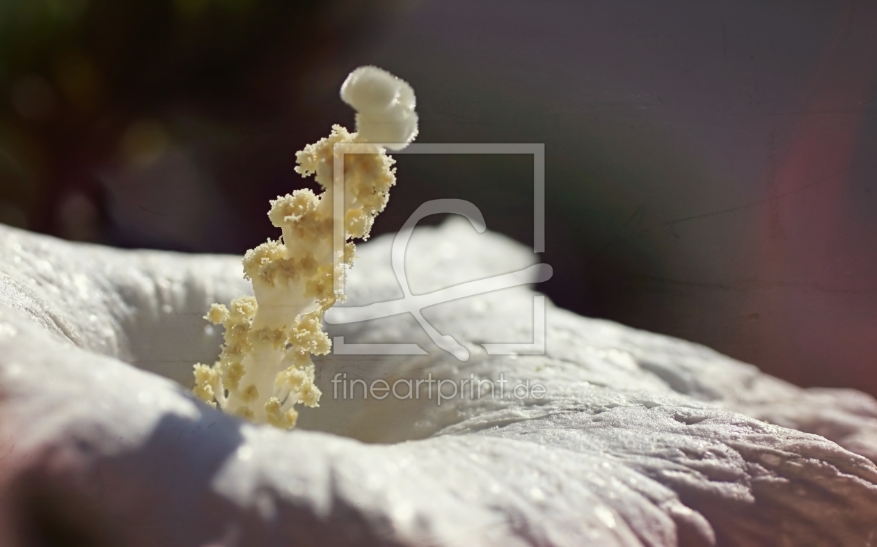 Bild-Nr.: 11573678 Power of nature erstellt von youhaveadream