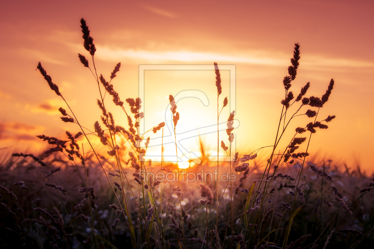 Bild-Nr.: 11574580 Dreaming erstellt von Steffen Gierok