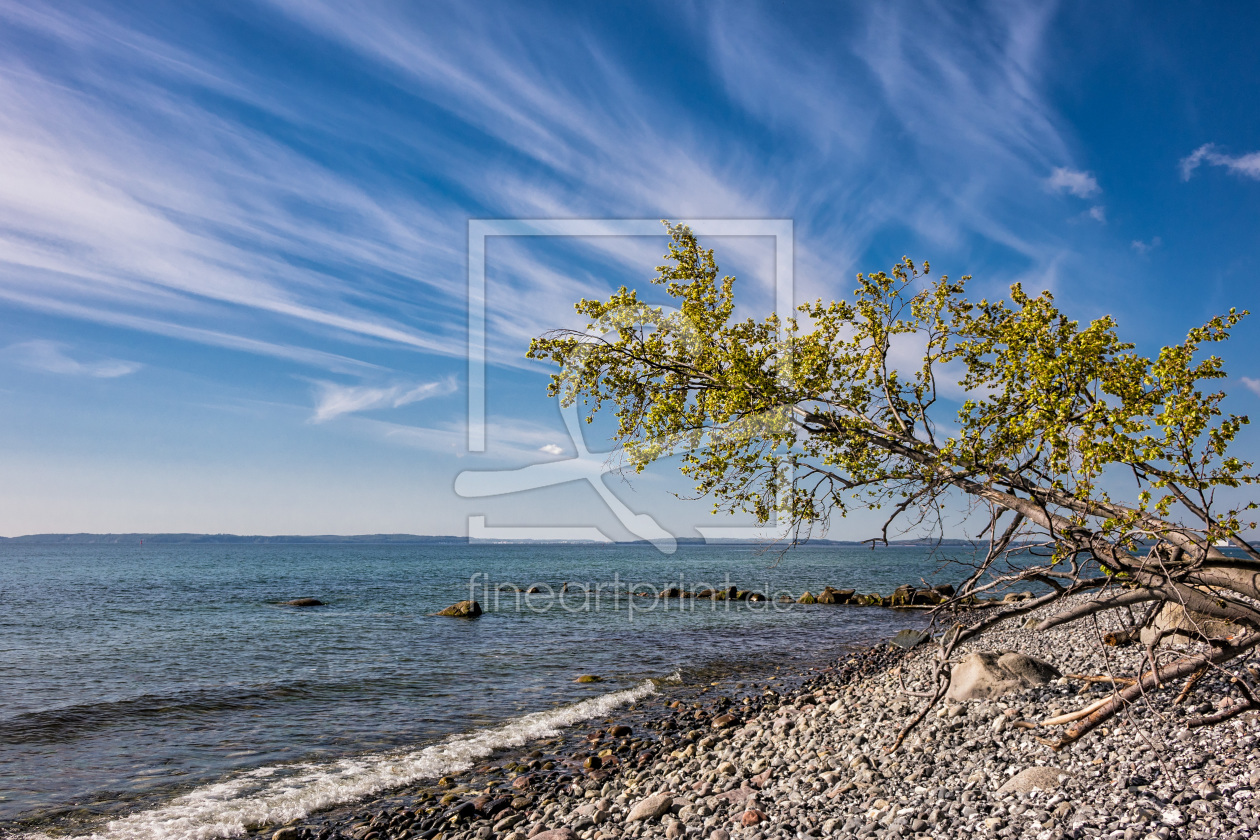 Bild-Nr.: 11574752 Ostseeküste auf Rügen erstellt von Rico Ködder