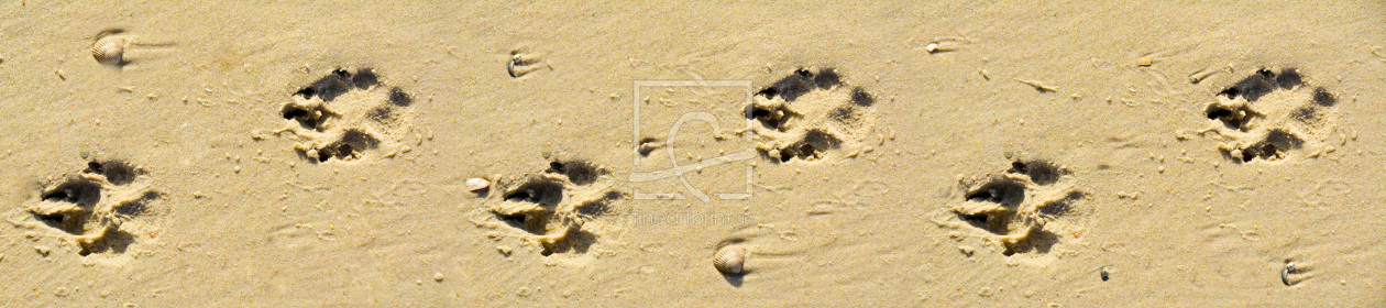 Bild-Nr.: 11575008 Tapete Spur erstellt von Huber-creativ-photo