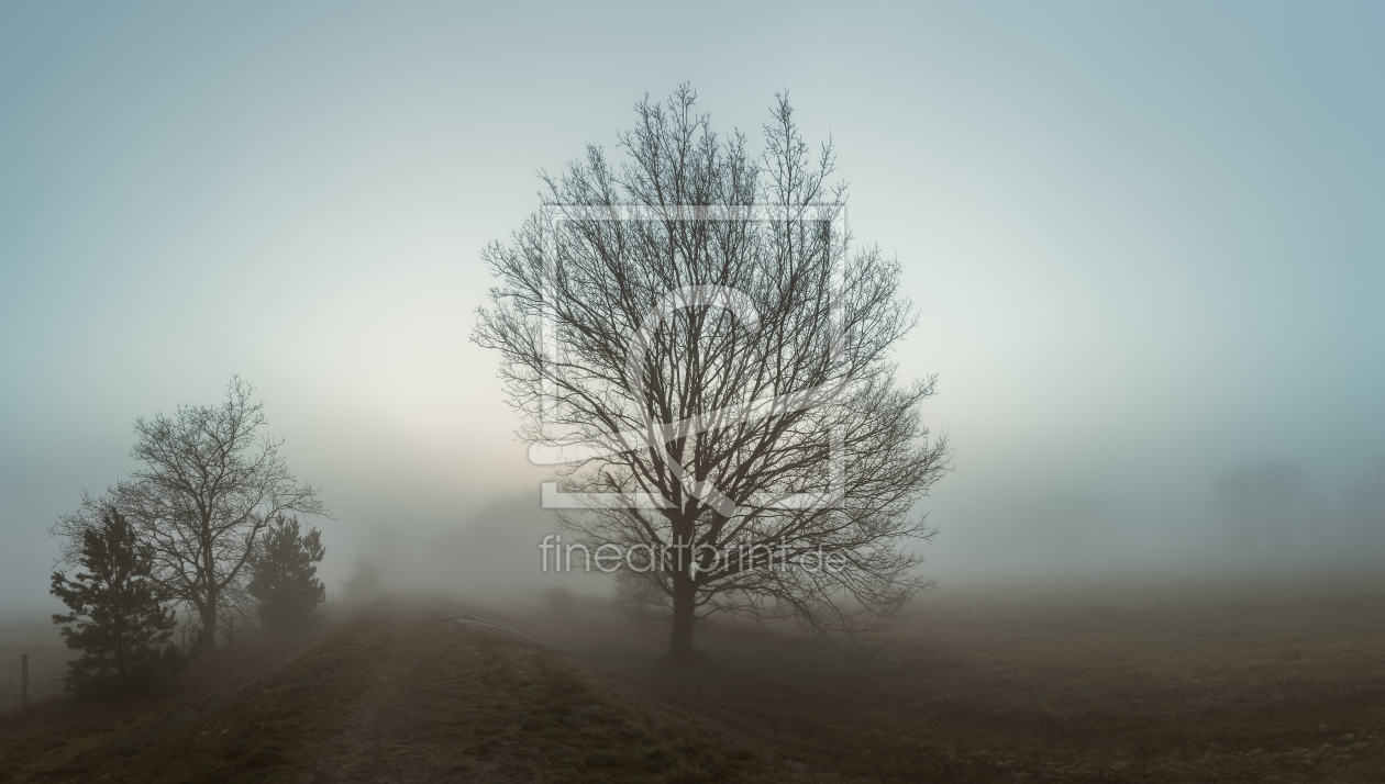 Bild-Nr.: 11576786 Nebel am Deich erstellt von David Gärtner