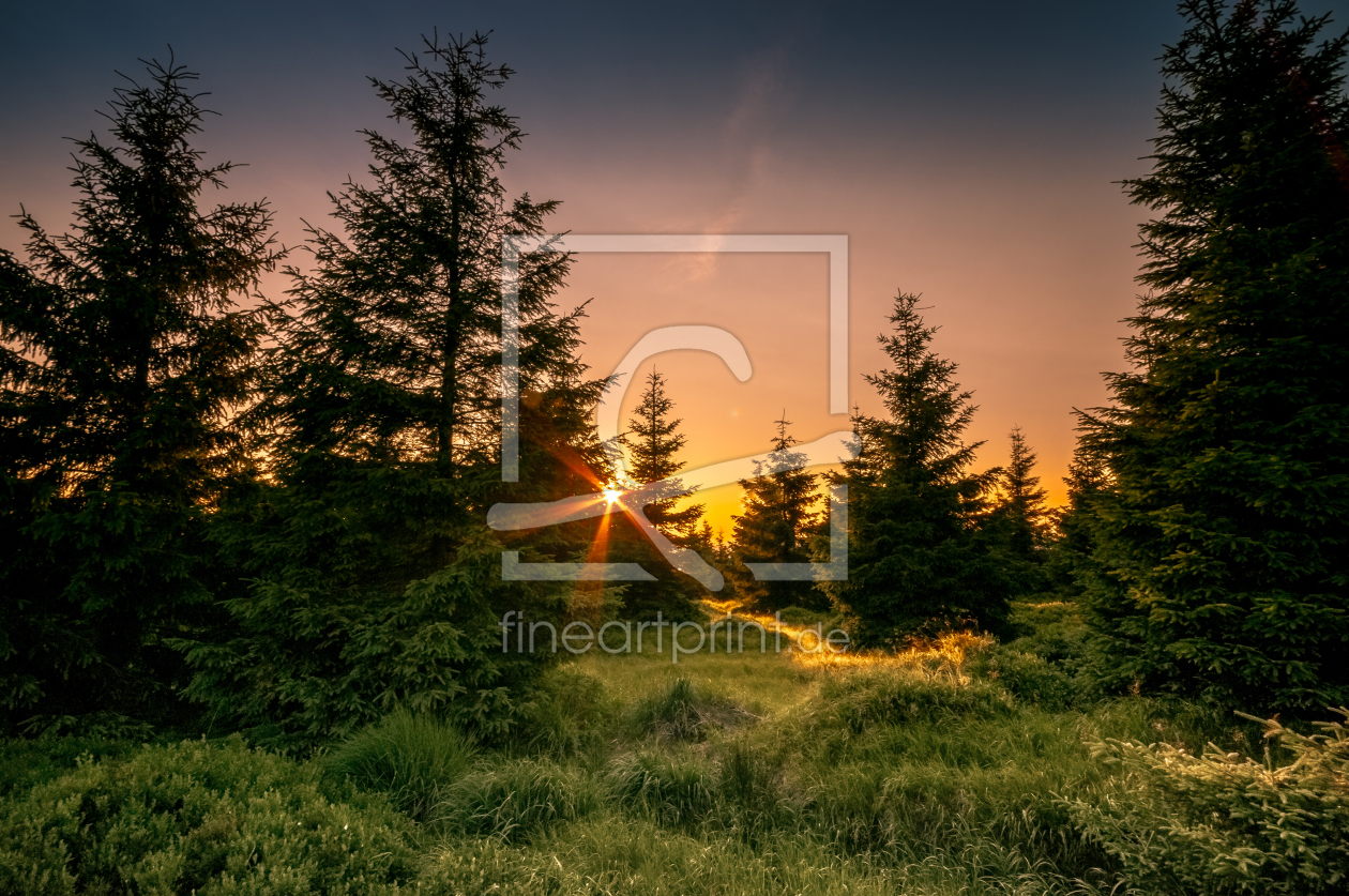 Bild-Nr.: 11577412 Harz Sonne Bild-Nr.: 11577412 Harz Sonne erstellt von Steffen Henze