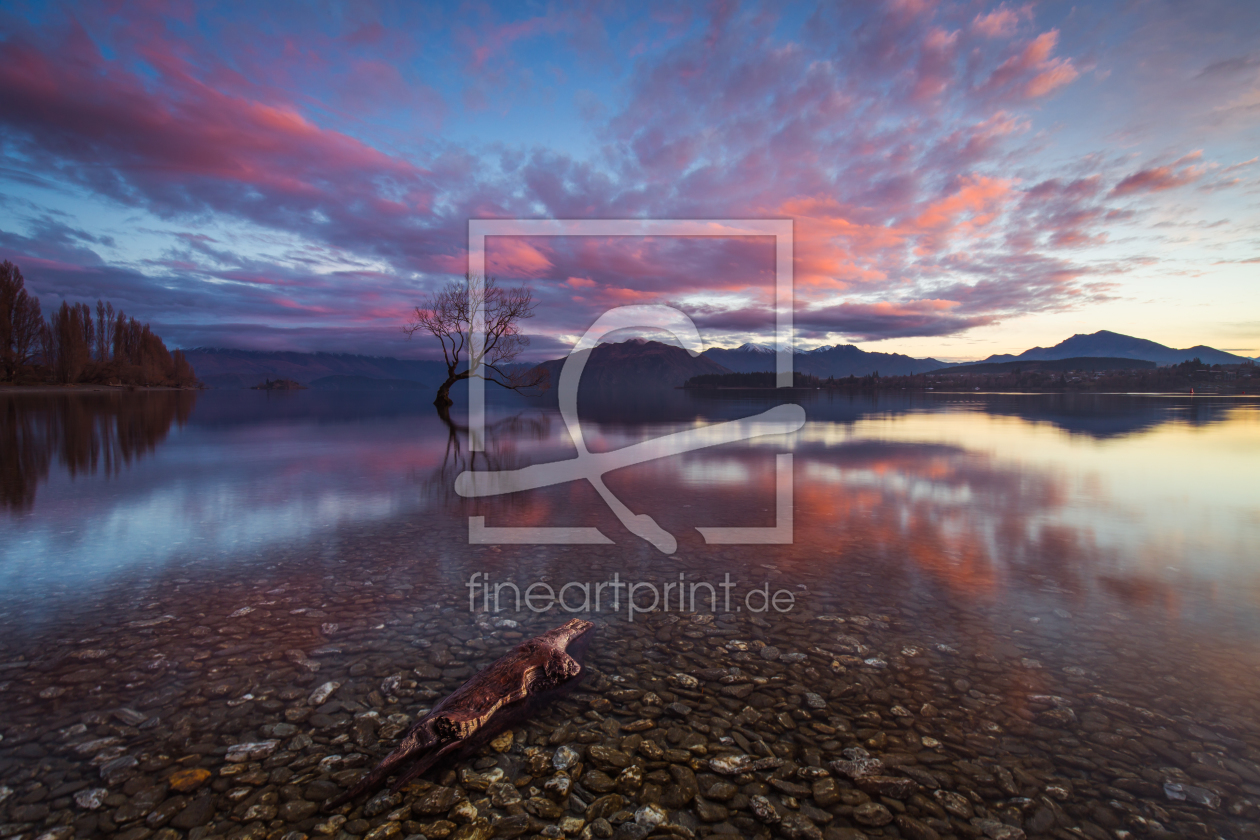 Bild-Nr.: 11577424 Der Wanaka-Tree erstellt von sebwar2004