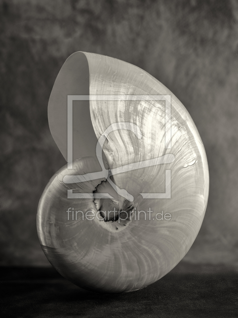 Bild-Nr.: 11577982 Nautilus erstellt von Rolf Eschbach