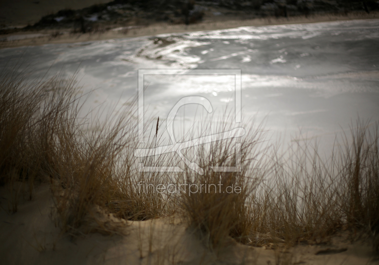 Bild-Nr.: 11578426 Amrumer Dünensee vereist mit Dünengras erstellt von Ingaloo