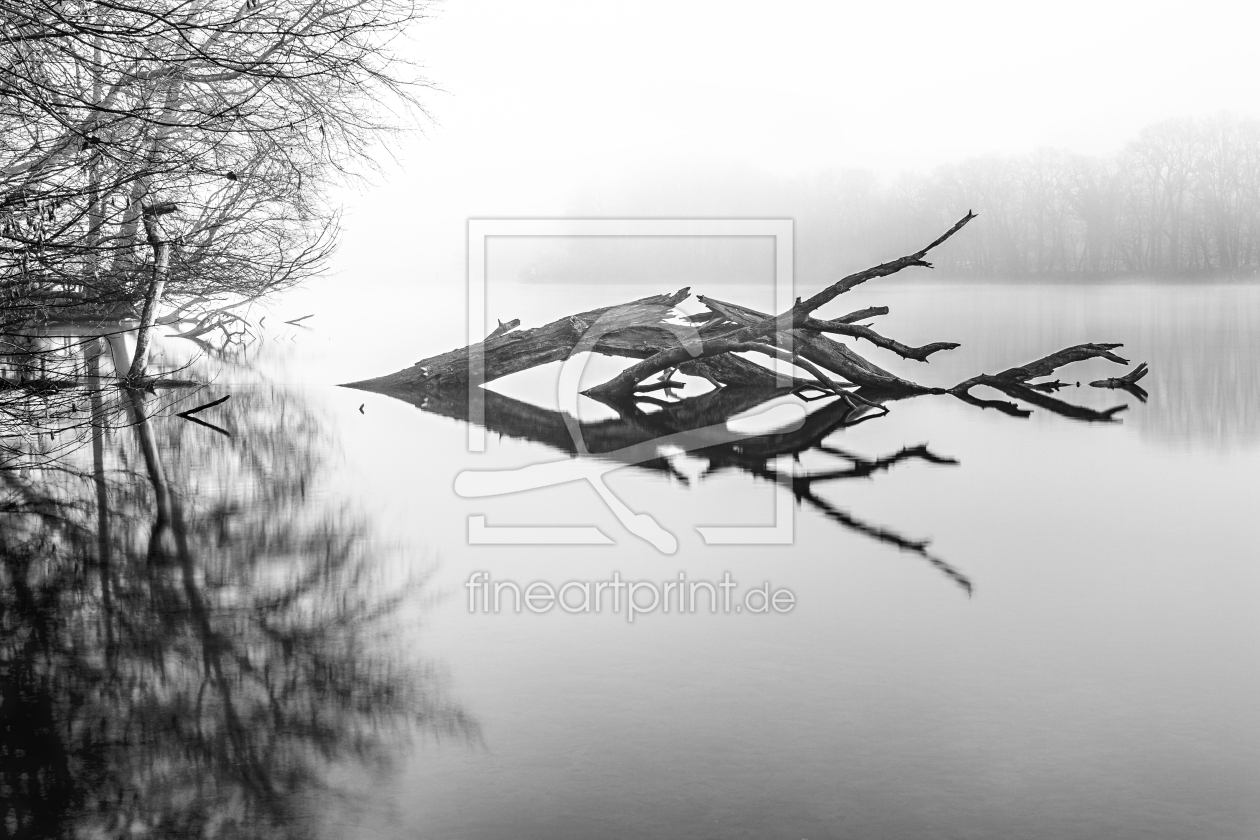 Bild-Nr.: 11580324 Nebel am See erstellt von David Gärtner