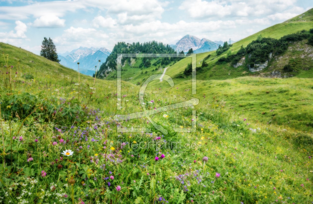 Bild-Nr.: 11581822 Alpenwiese erstellt von hannes cmarits