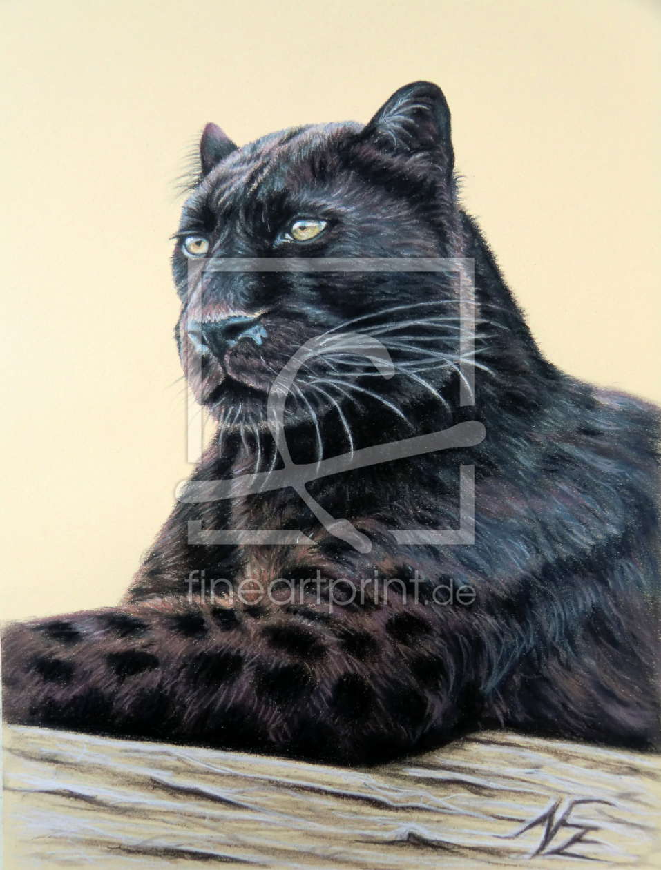 Bild-Nr.: 11581852 Panther - Jaguar erstellt von NicoleZeug