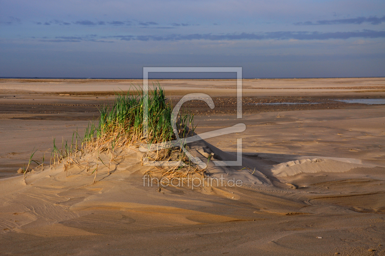 Bild-Nr.: 11582312 lonely spot erstellt von albatross