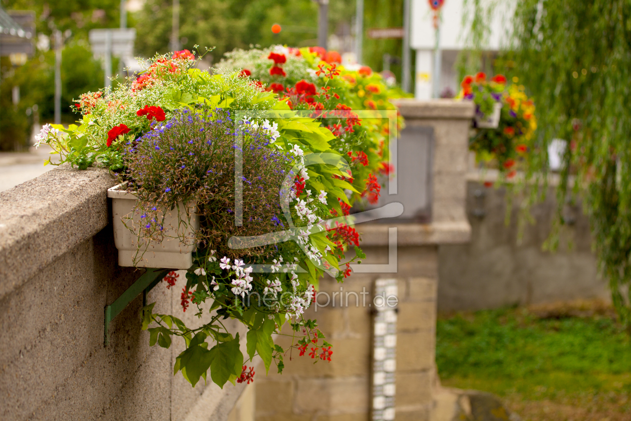 Bild-Nr.: 11585006 Blumen auf der Brücke erstellt von Photocreatief