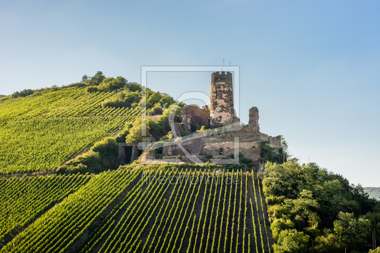 Bild-Nr.: 11585744 Burgruine Fürstenberg 79 erstellt von Erhard Hess