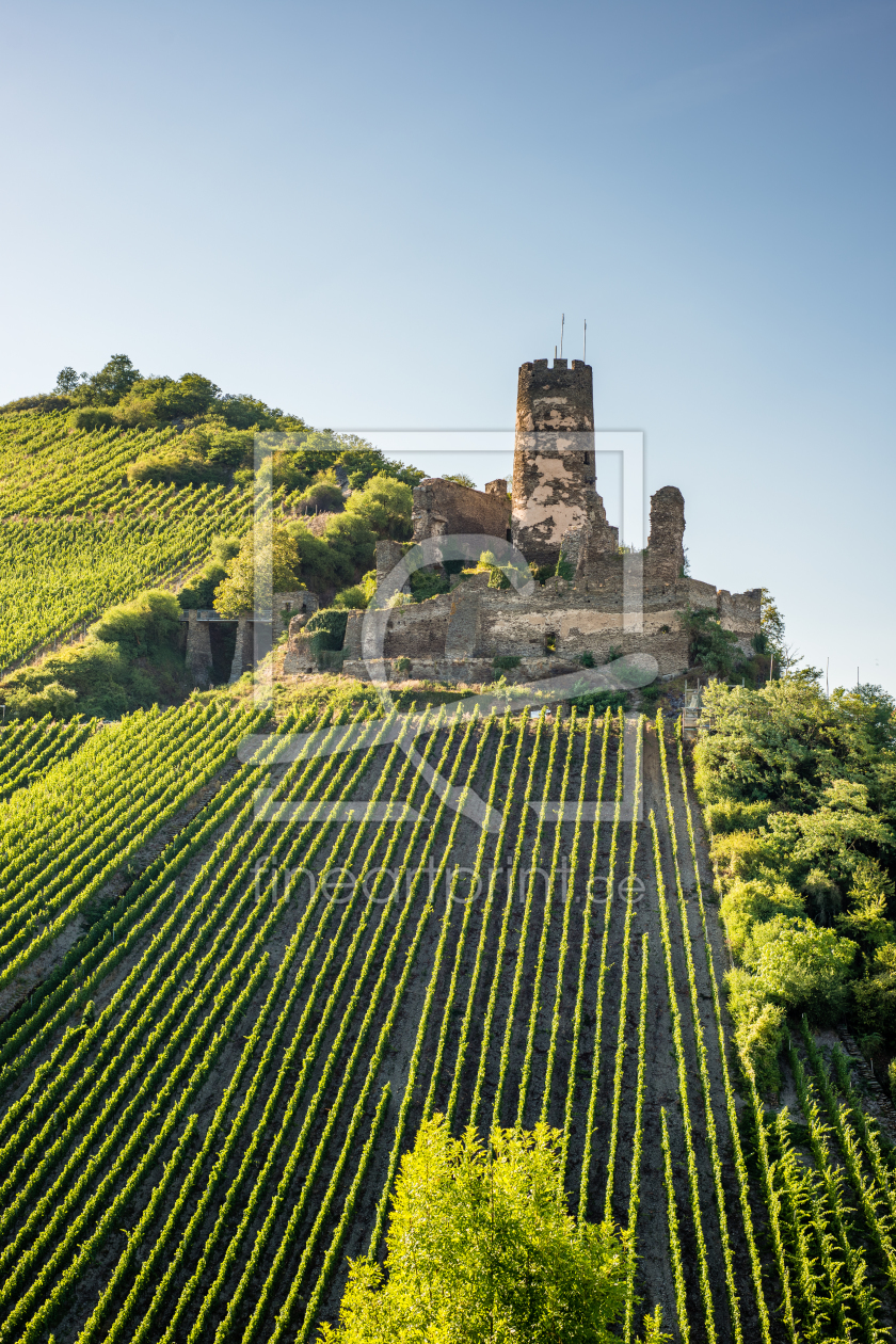 Bild-Nr.: 11585756 Burgruine Fürstenberg 90 erstellt von Erhard Hess