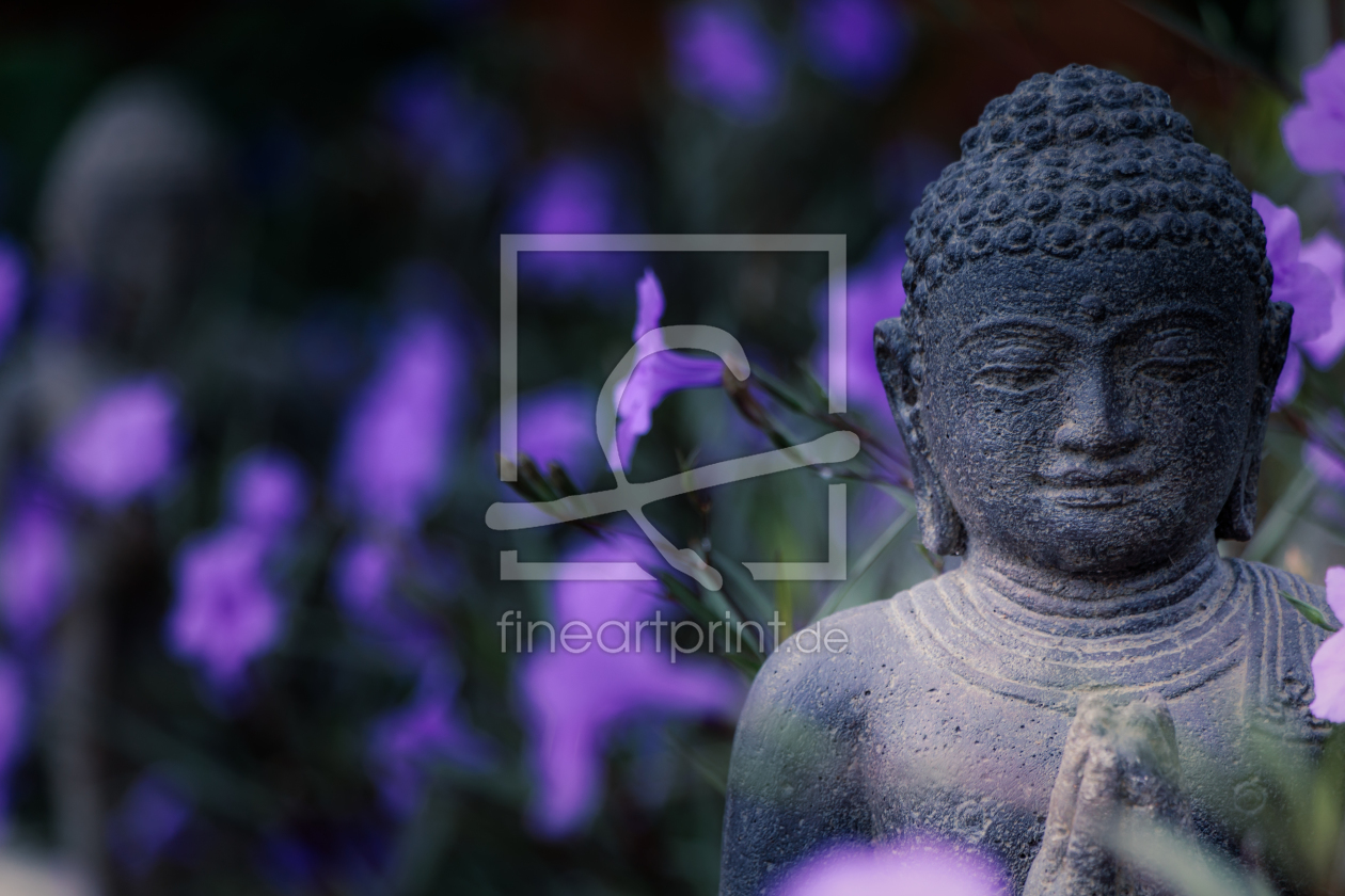 Bild-Nr.: 11585946 Buddha in lila Blüten erstellt von praxisposter