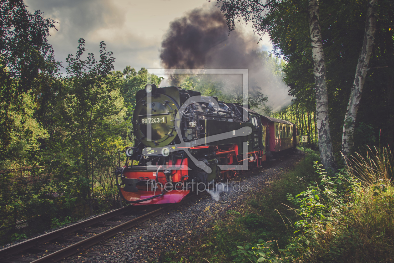 Bild-Nr.: 11586080 Selketalbahn erstellt von Steffen Gierok