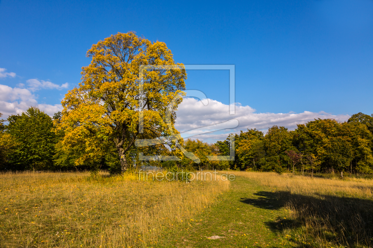 Bild-Nr.: 11586496 Herbst erstellt von KundenNr-299653