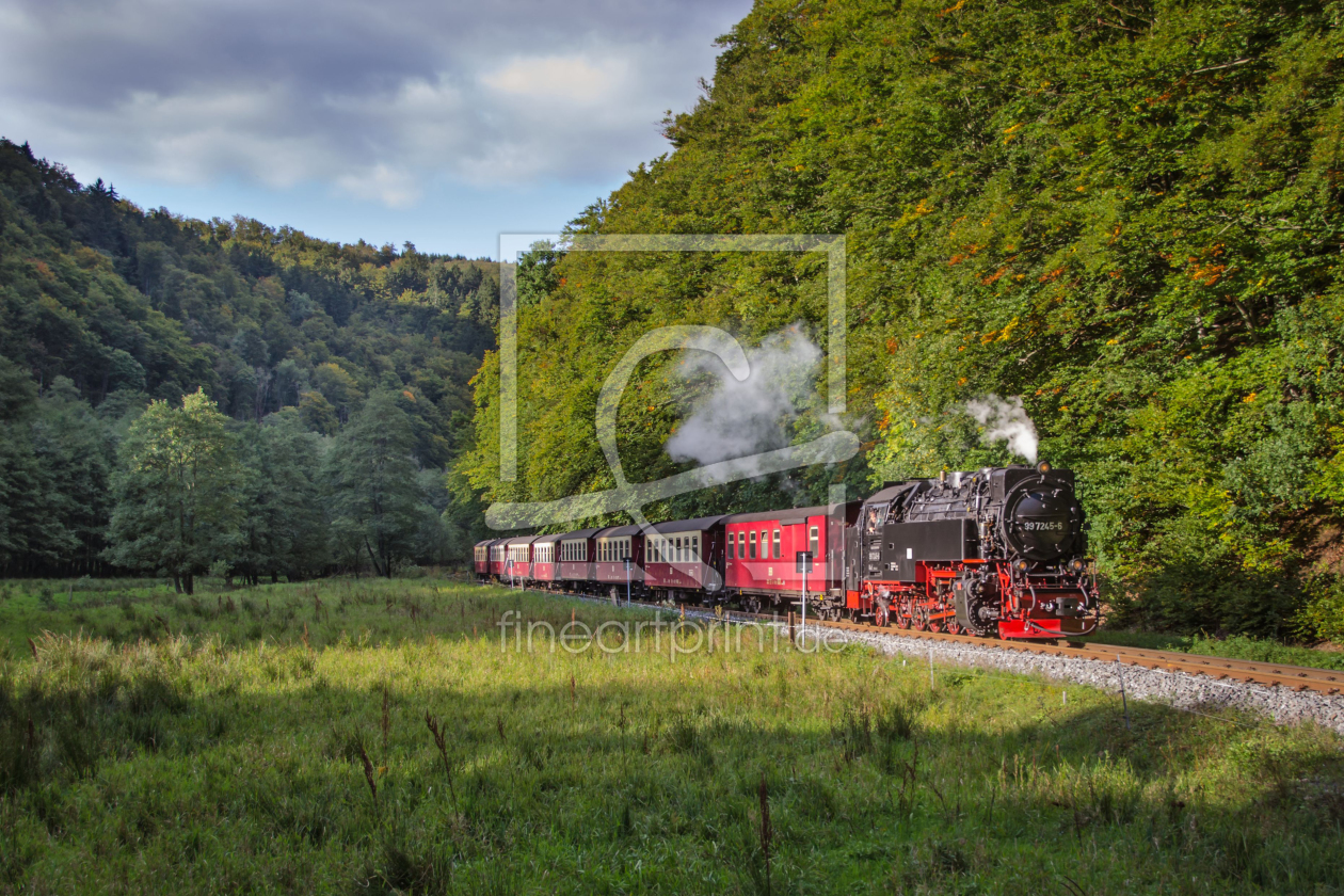 Bild-Nr.: 11586892 Harzquerbahn erstellt von Steffen Gierok