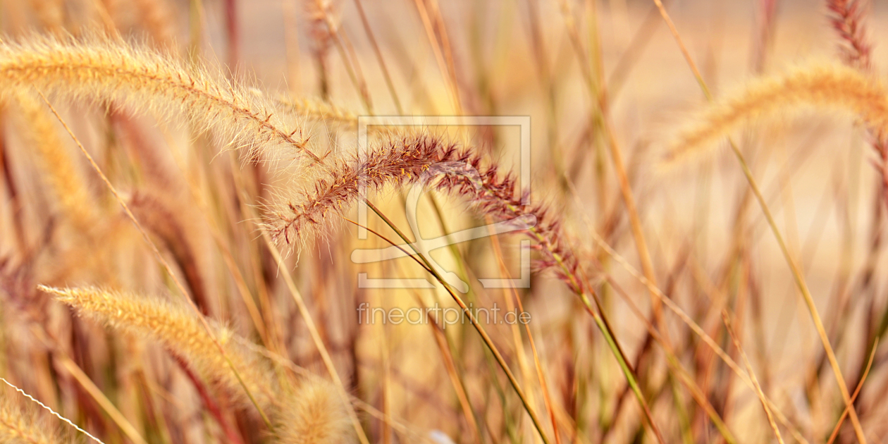 Bild-Nr.: 11587108 Herbstfarben  erstellt von Atteloi