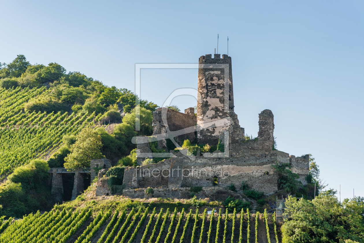 Bild-Nr.: 11587868 Burgruine Fürstenberg 61 erstellt von Erhard Hess