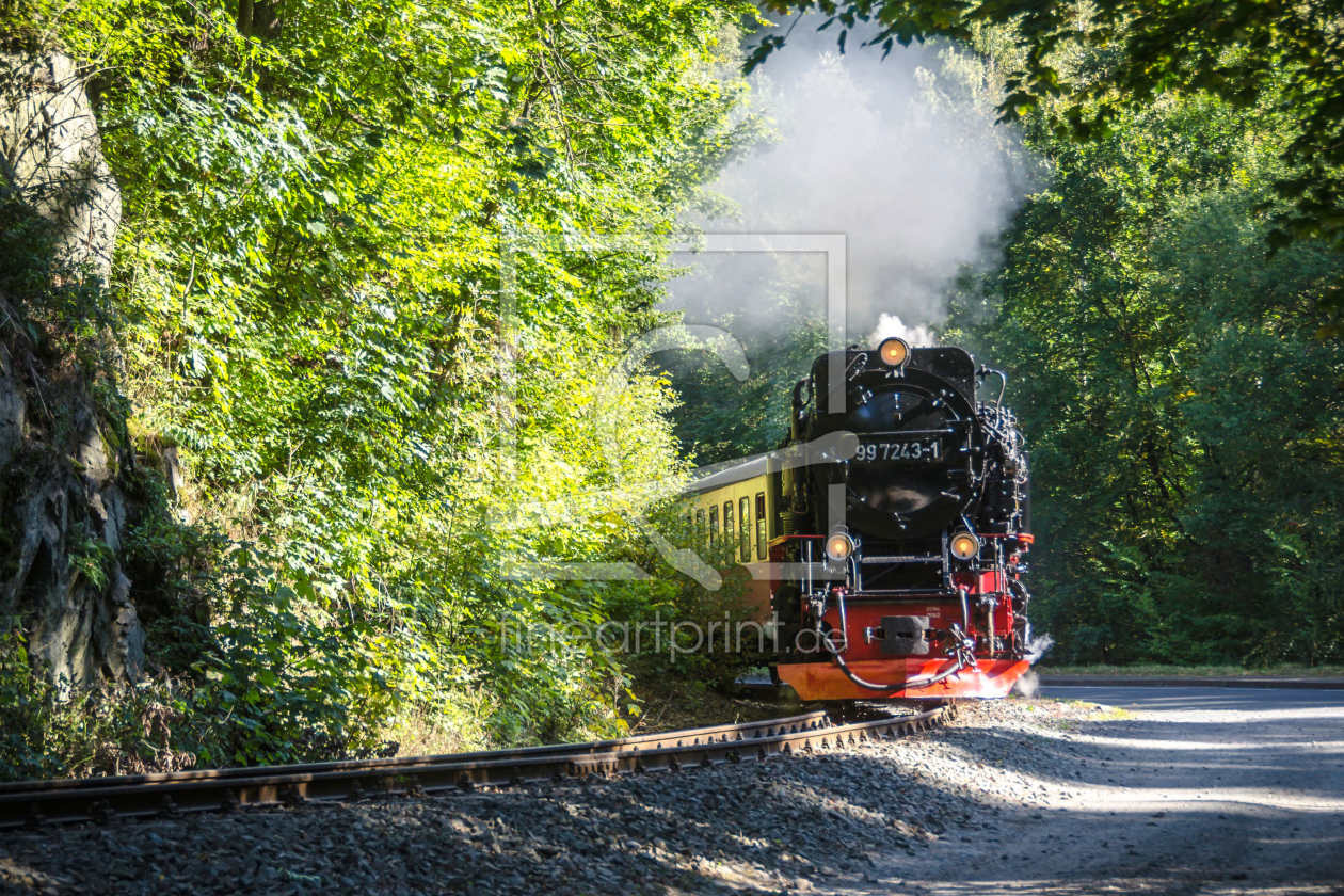 Bild-Nr.: 11589920 Selketalbahn erstellt von Steffen Gierok