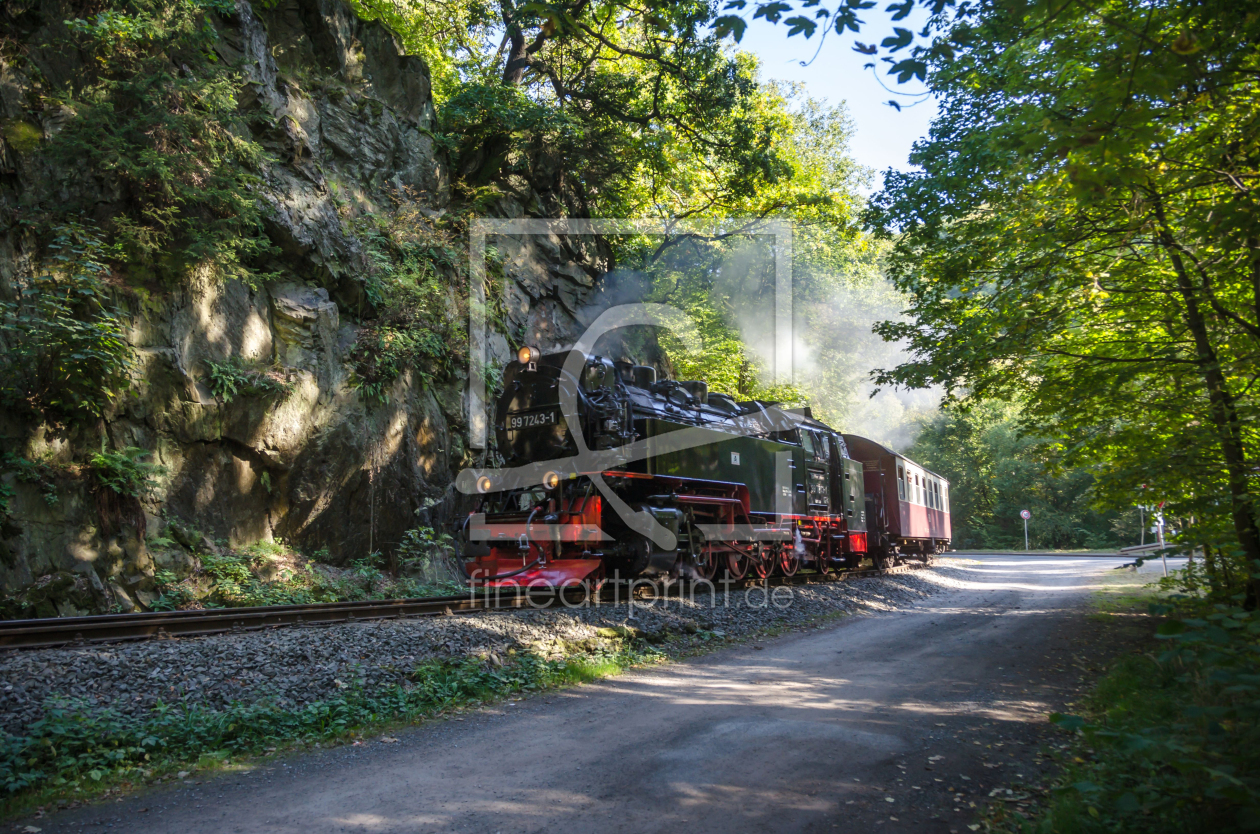 Bild-Nr.: 11589922 Selketalbahn erstellt von Steffen Gierok