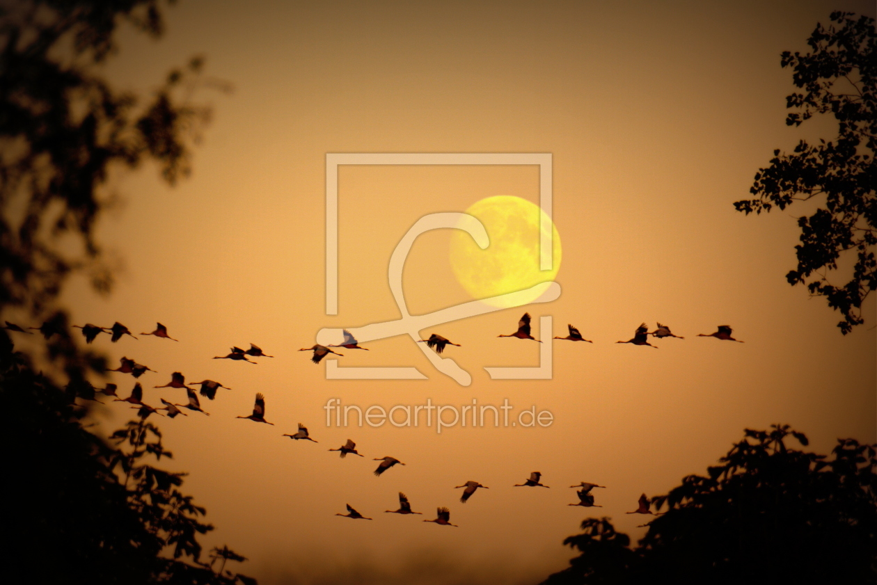 Bild-Nr.: 11590018 Vögel des Glücks erstellt von GUGIGEI