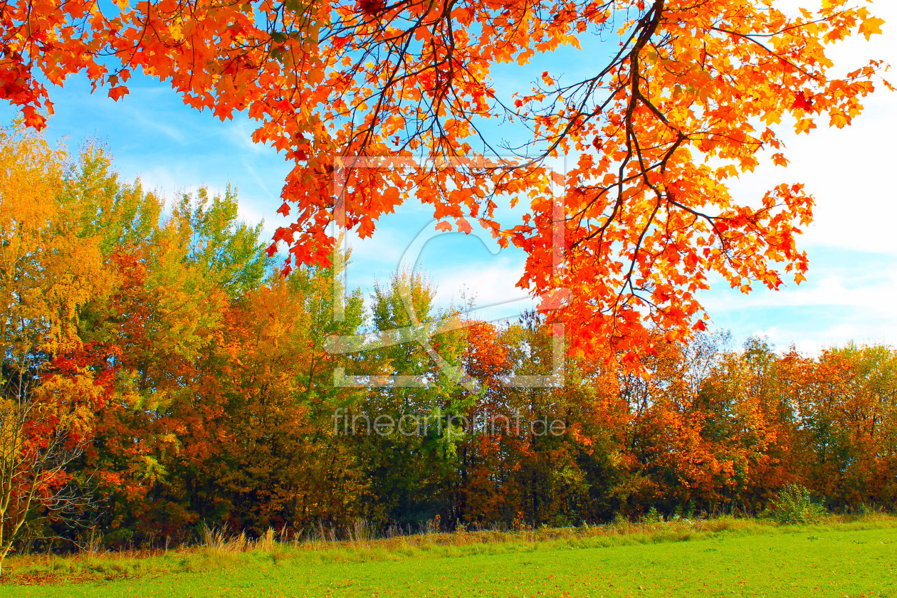 Bild-Nr.: 11590408 Herbst im  Park erstellt von M.A. Ziehr