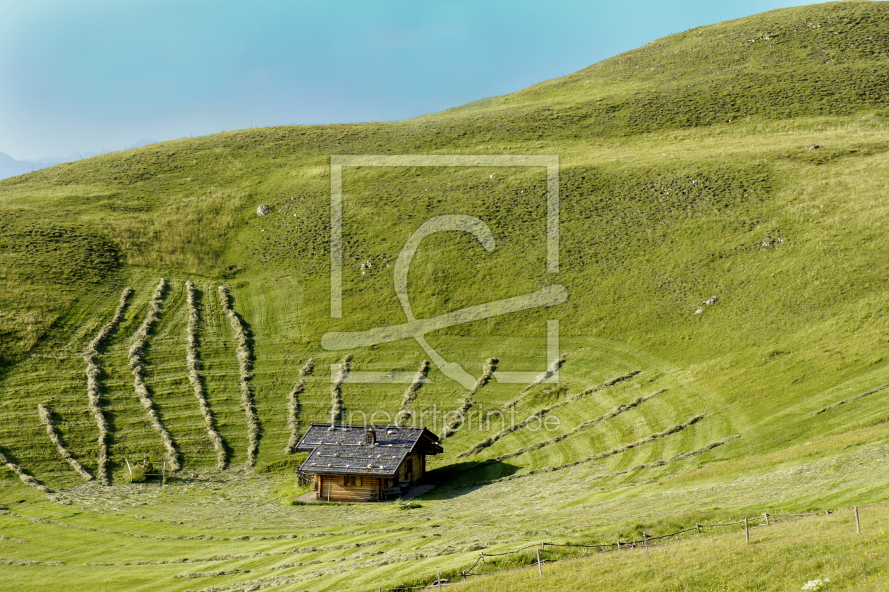 Bild-Nr.: 11591896 Auf der Alm in Südtirol erstellt von MartinaW