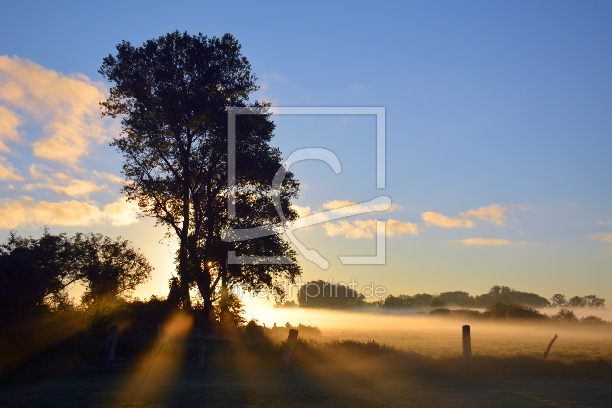 Bild-Nr.: 11592224 .. früh am morgen .. erstellt von GUGIGEI