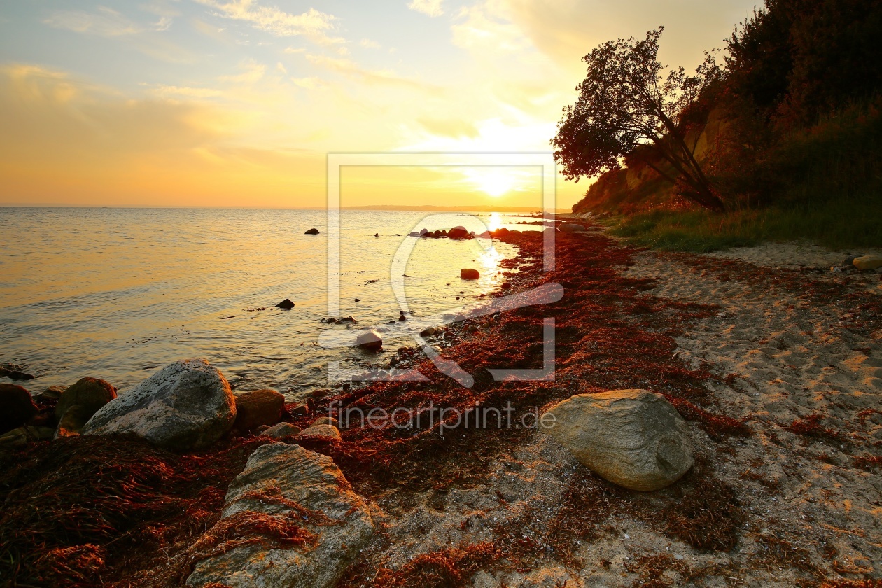 Bild-Nr.: 11592973 OSTSEESTRAND Bild-Nr.: 11592973 OSTSEESTRAND erstellt von Ursula Reins