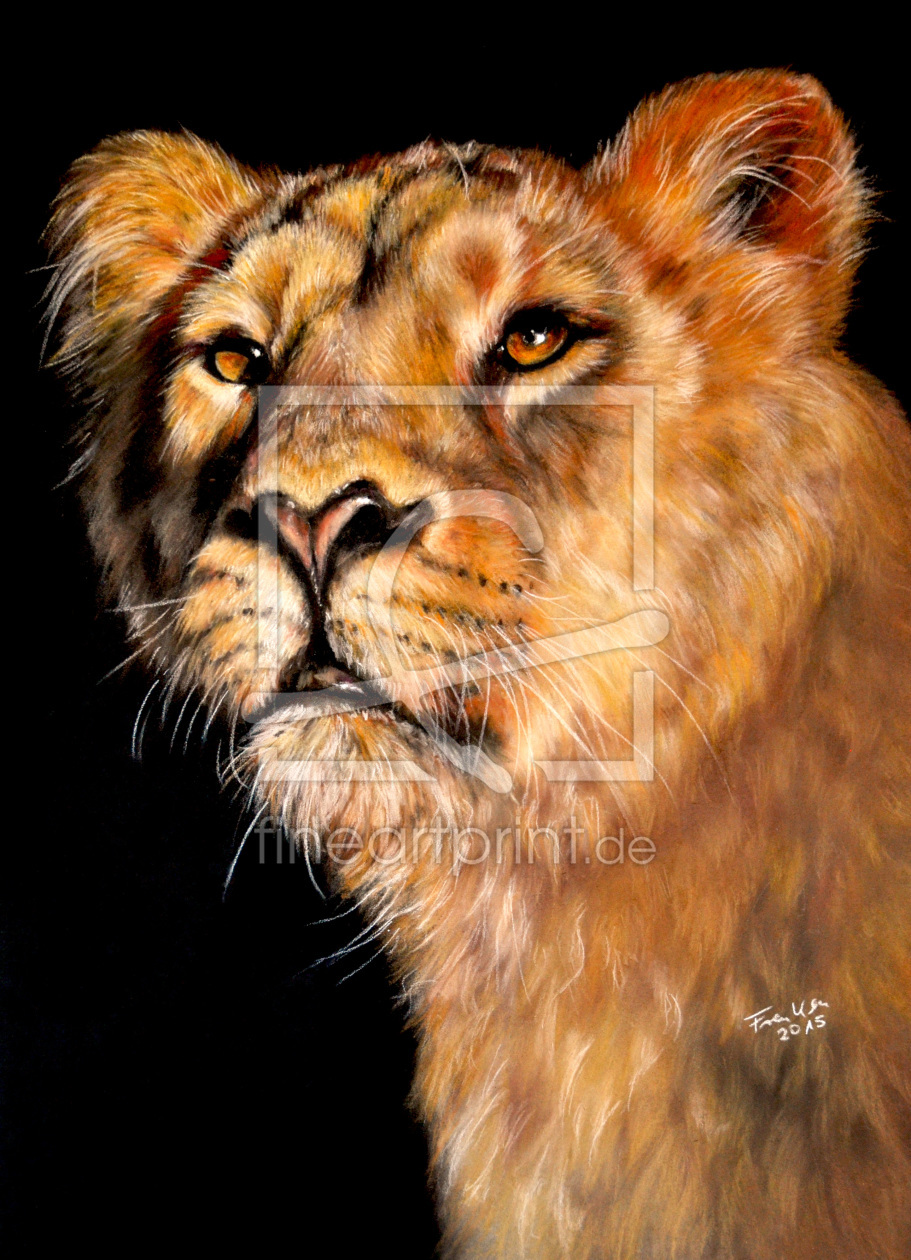 Bild-Nr.: 11593380 Golden Lioness erstellt von Frenken-Art