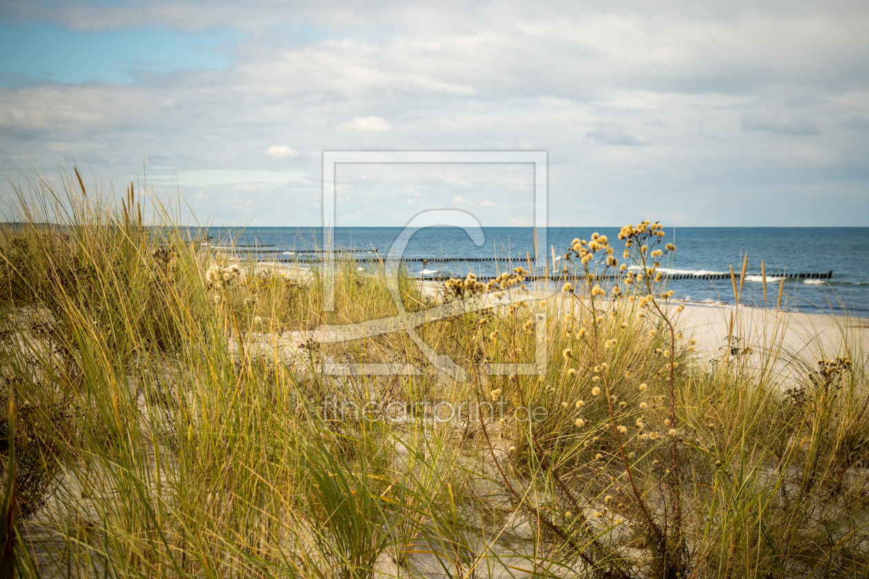 Bild-Nr.: 11593570 Oktoberdüne erstellt von FotoDeHRO