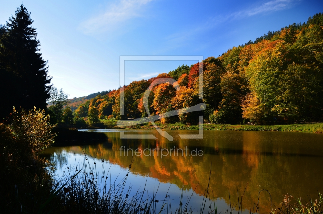 Bild-Nr.: 11594552 Herbst am See erstellt von MarMIa