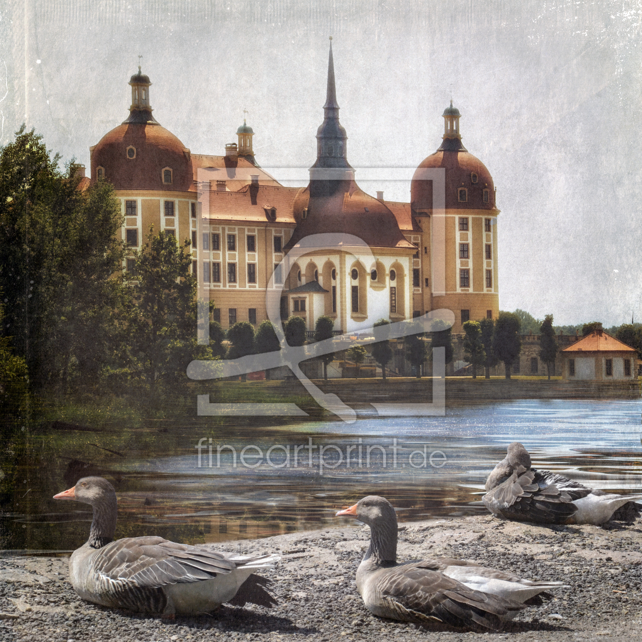 Bild-Nr.: 11594576 Die Gänse von Moritzburg erstellt von ChrisArt