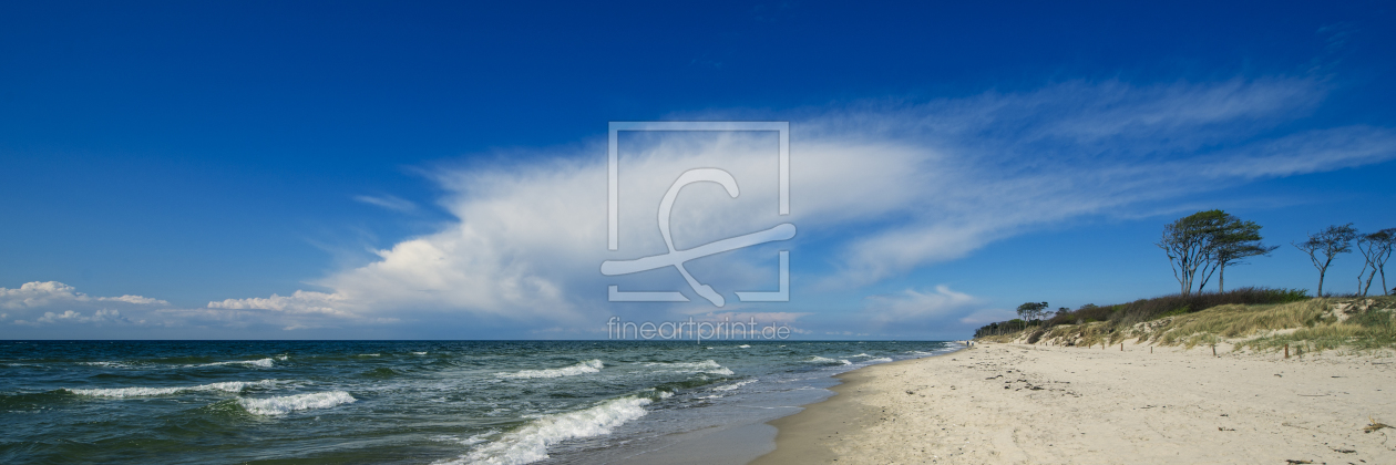 Bild-Nr.: 11594578 Weststrand - Darß | Ostsee Panorama erstellt von ReichderNatur