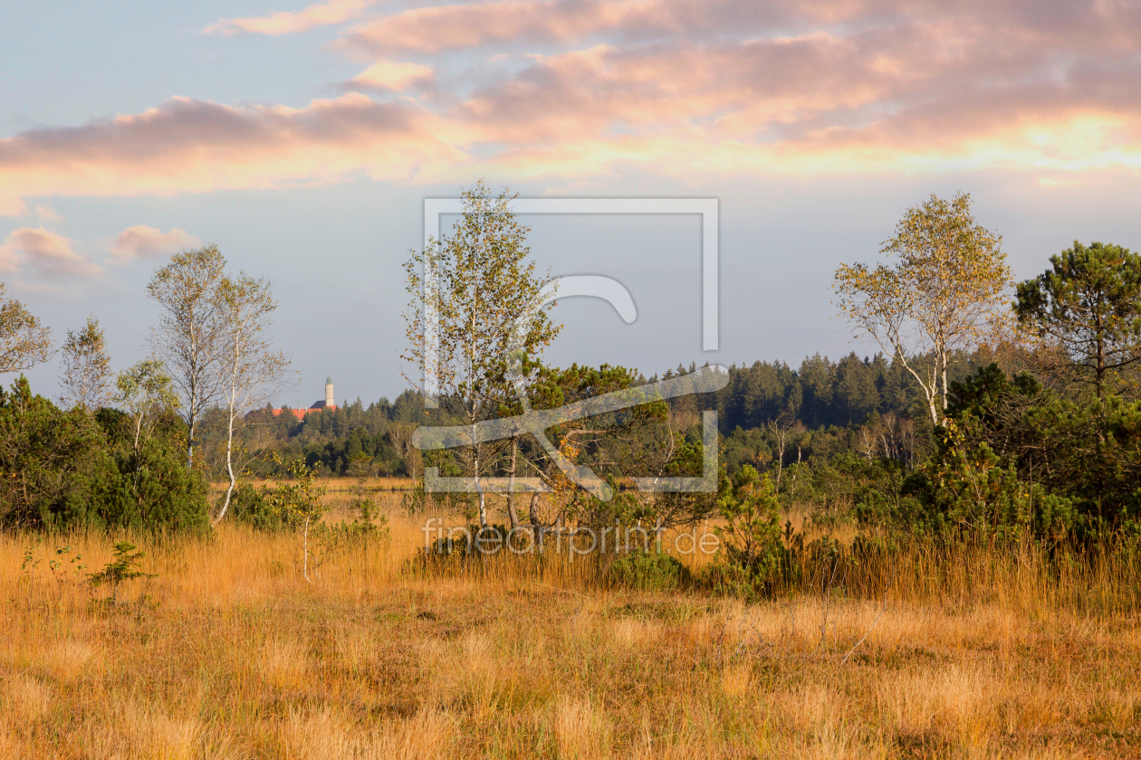 Bild-Nr.: 11595012 Moorlandschaft erstellt von SusaZoom